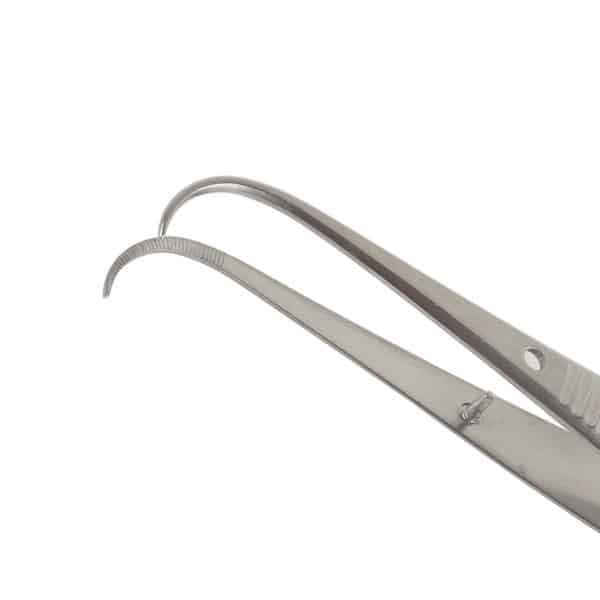 Iris Dressing Forceps