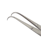 Iris Dressing Forceps
