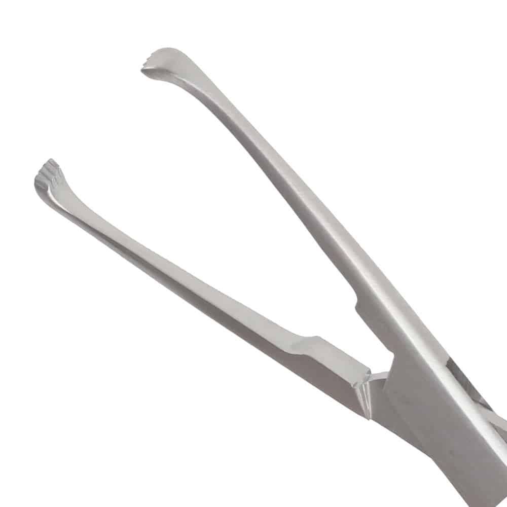 Baby Allis Forceps