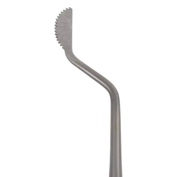 Preservation Rhinoplasty:  Costa Saw
