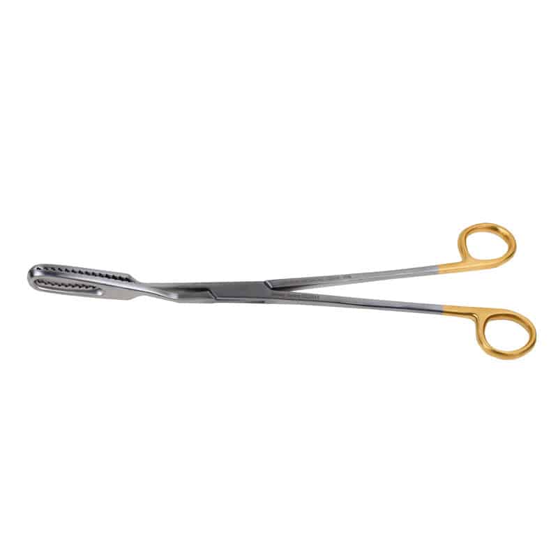 Bierer Ovum Forceps