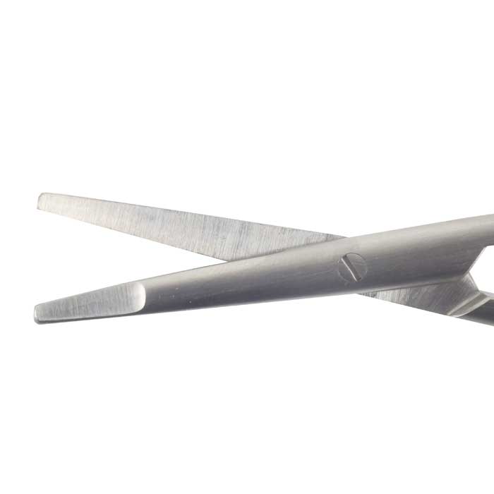 Ragnell Scissors