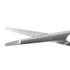 Ragnell Scissors