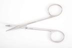 Fomon Lower Lateral Scissors