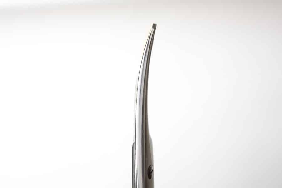 Mayo Scissors