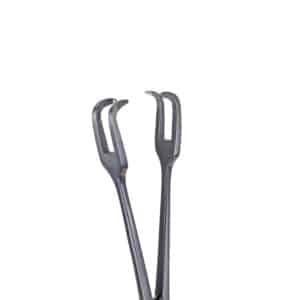 Image of Two Pronged, Lahey Forceps, Marina Medical Instruments, tip detail image