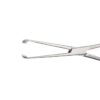 Allis-Tissue Forceps - Image 2