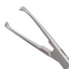 Baby Allis Forceps - Image 2