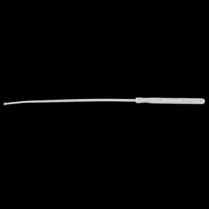 Intrauterine Sound